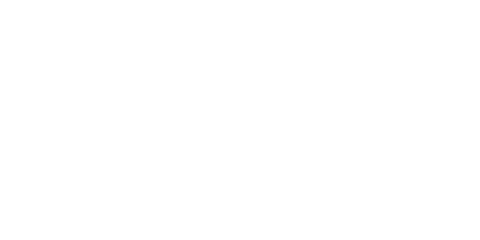 FIMER