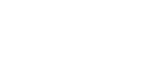 Toyoda Gosei